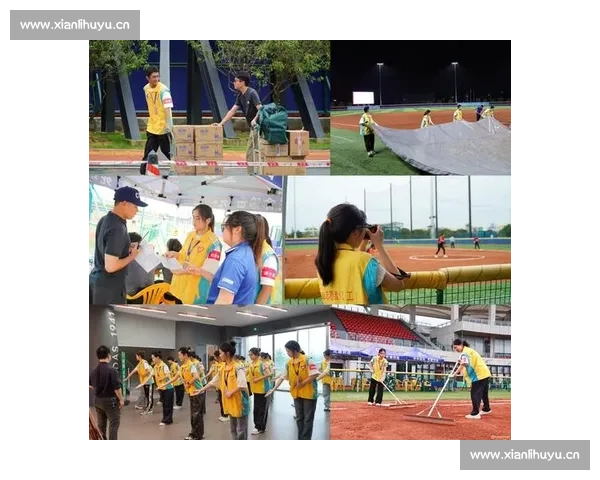 青春挥棒同行校园垒球竞技赛点燃团队合作与激情荣耀难忘时刻瞬间